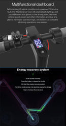 Electric E-Scooter 350W 10Ah CE Approved