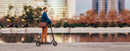 E-SCOOTER ELECTRIC 350W ADULT SCOOTER
