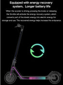 Electric E-Scooter 350W 10Ah CE Approved