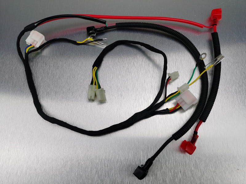 KRP- Electric Start Wire Harness Loom Kit Kayo MR150 2017+ with Battery